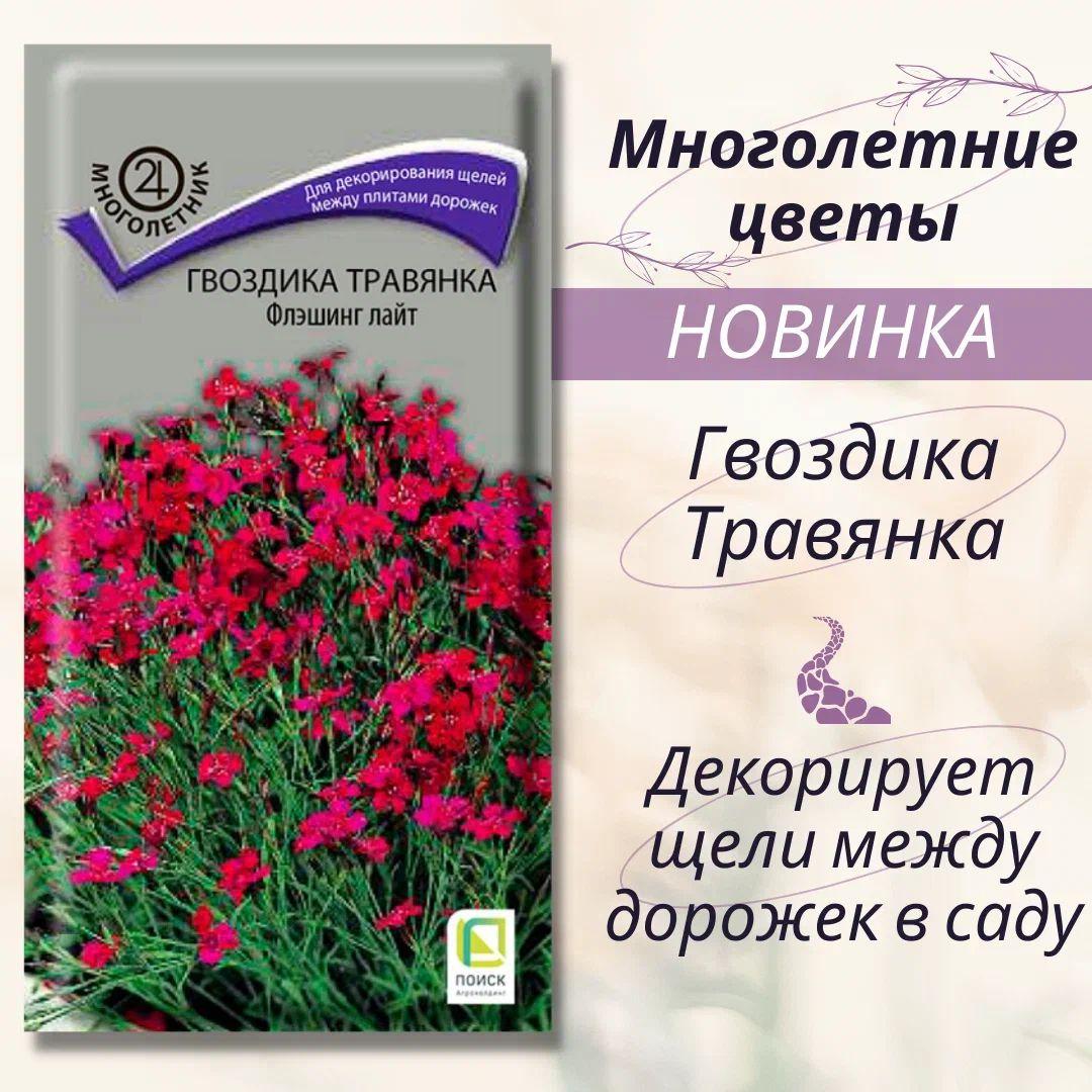 Гвоздика травянка "Флешинг Лайт" семена многолетних цветов для посадки