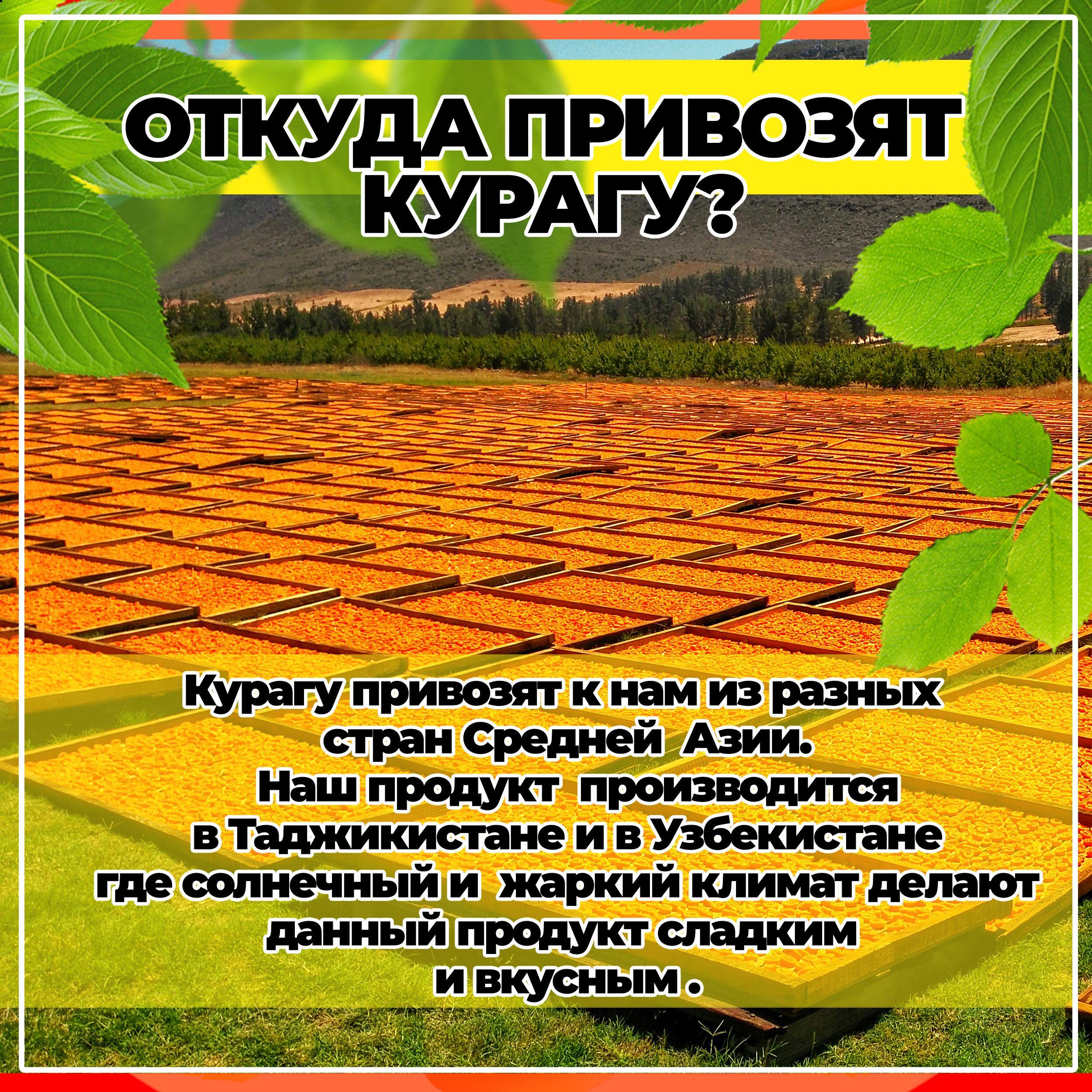 https://cdn1.ozone.ru/s3/multimedia-1-t/6952974977.jpg