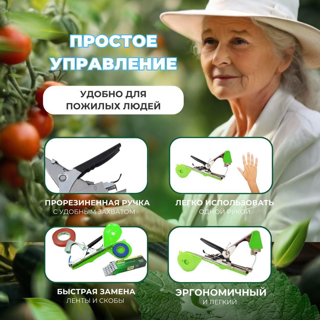 https://cdn1.ozone.ru/s3/multimedia-1-t/6976033193.jpg