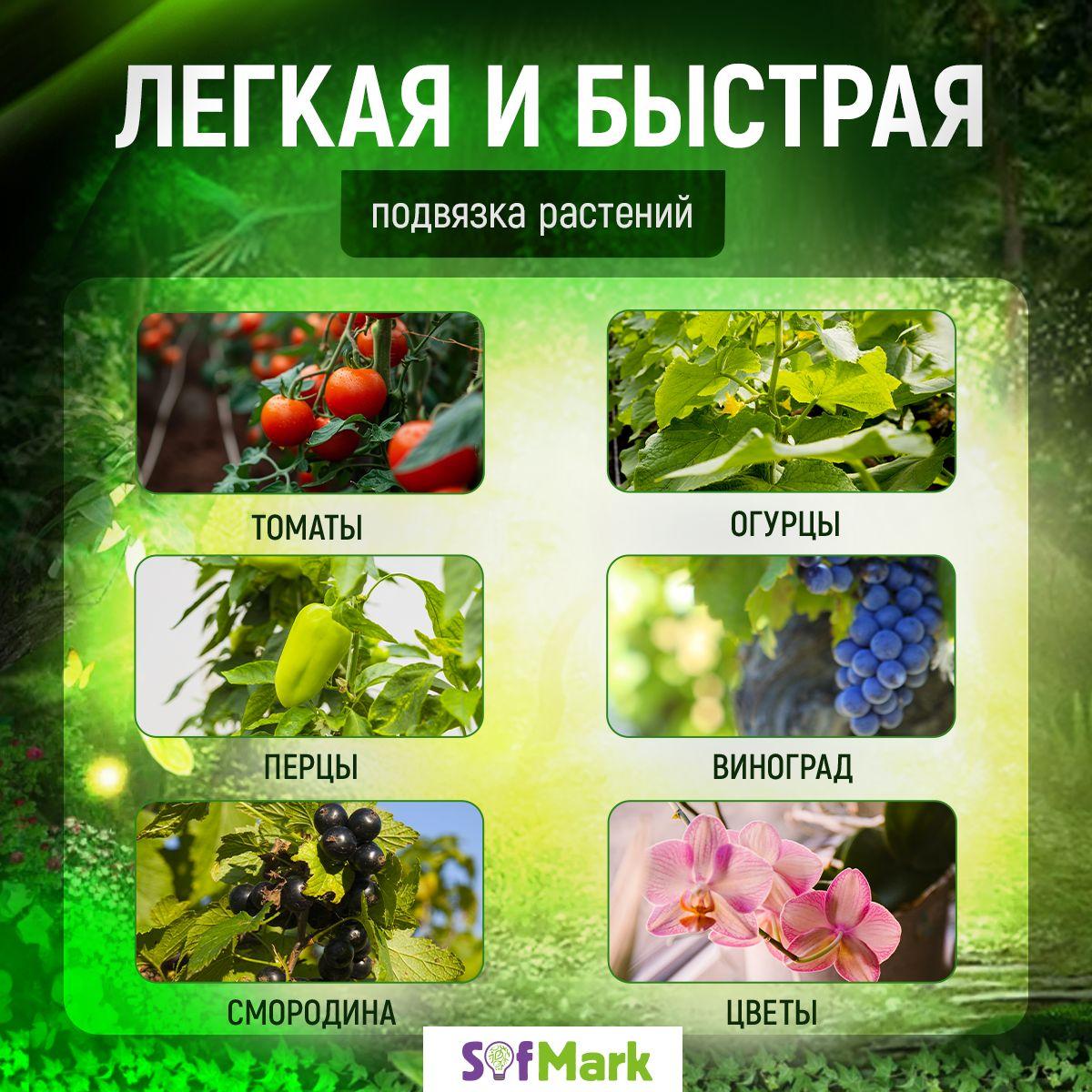 https://cdn1.ozone.ru/s3/multimedia-1-t/6997127537.jpg