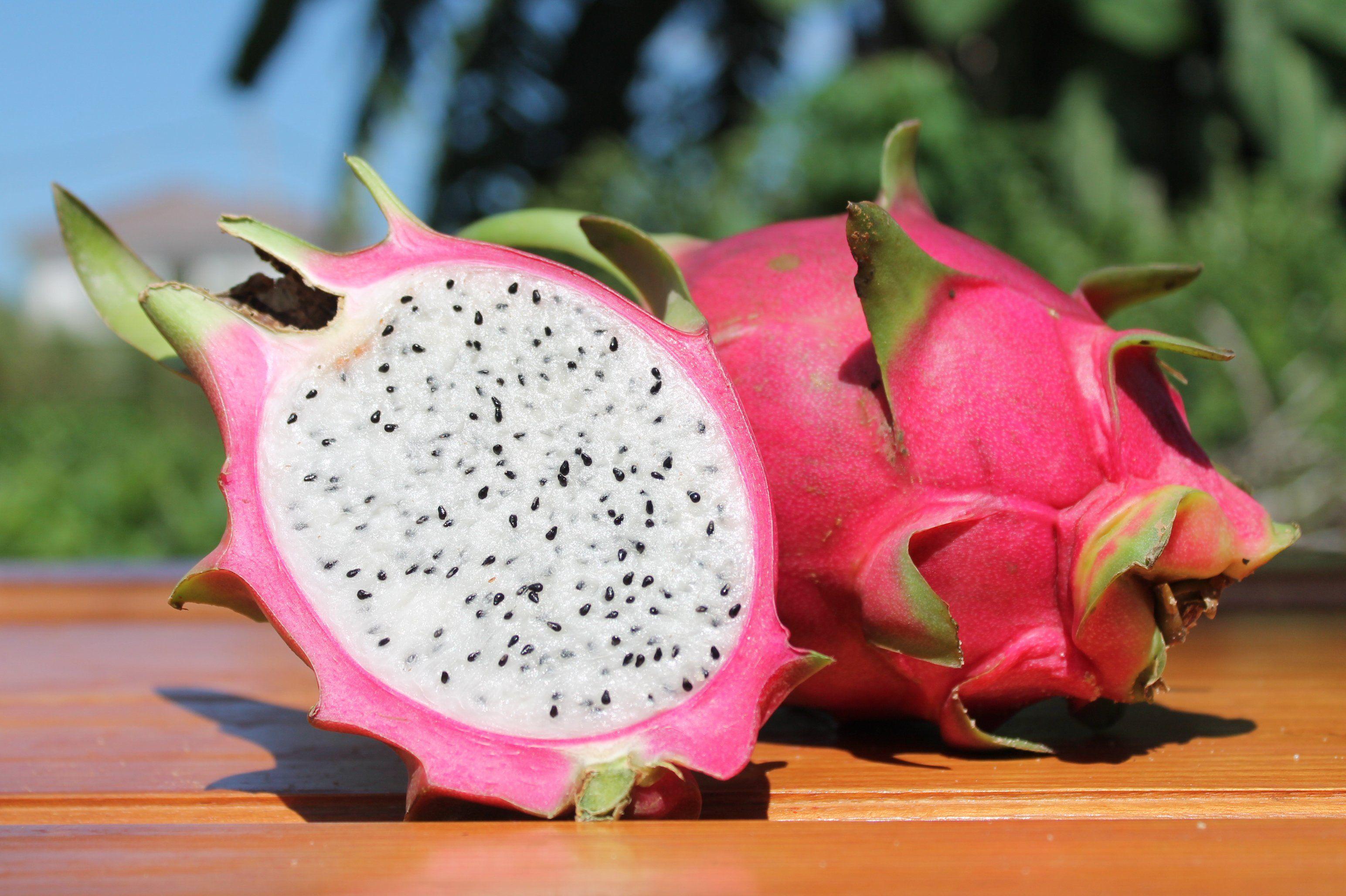 Питахайя Белая семена 15 шт, Драконий фрукт (Dragon Fruit)