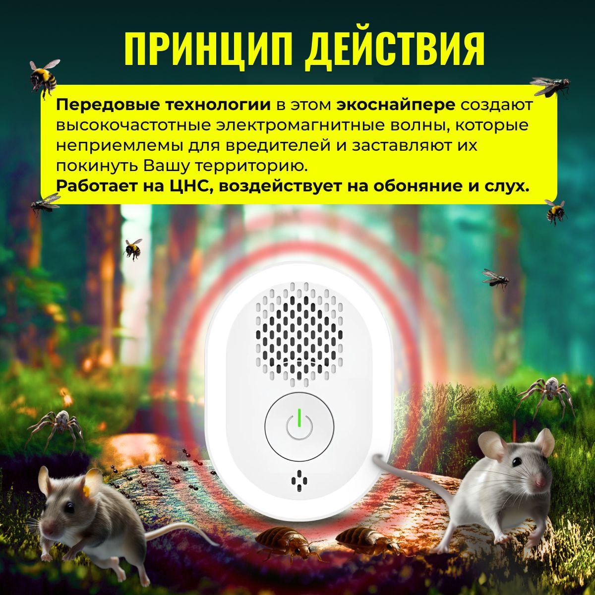 https://cdn1.ozone.ru/s3/multimedia-1-t/7074953741.jpg