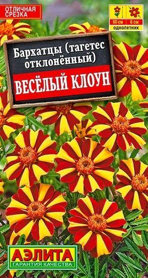 БАРХАТЦЫ ВЕСЕЛЫЙ КЛОУН. Семена. Вес 0,1 гр. Уникальный сорт в группе отклоненных бархатцев.