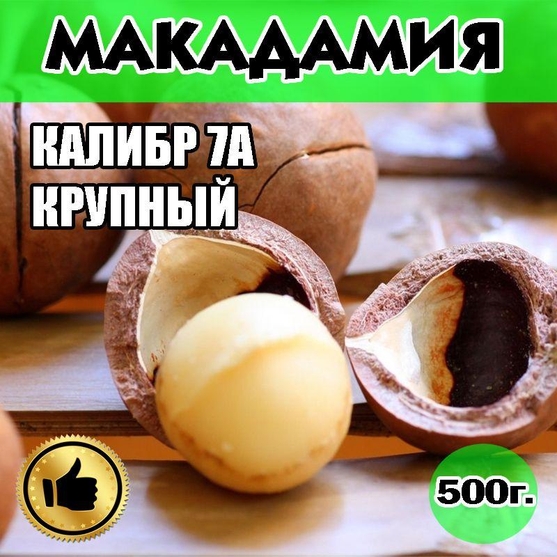 МАКАДАМИЯ, МАКАДАМИЯ ОРЕХ 500г, КАЛИБР 7А в скорлупе, с ключом.