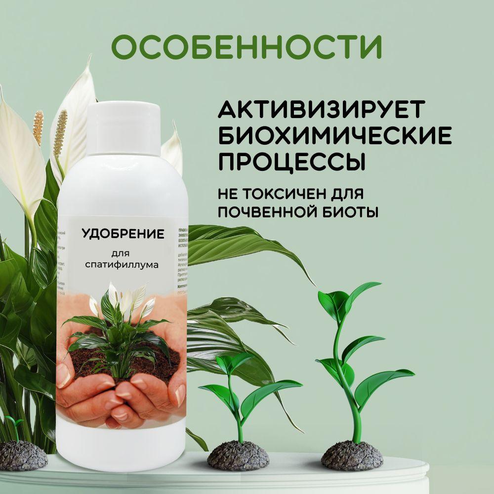 https://cdn1.ozone.ru/s3/multimedia-1-v/7041764299.jpg