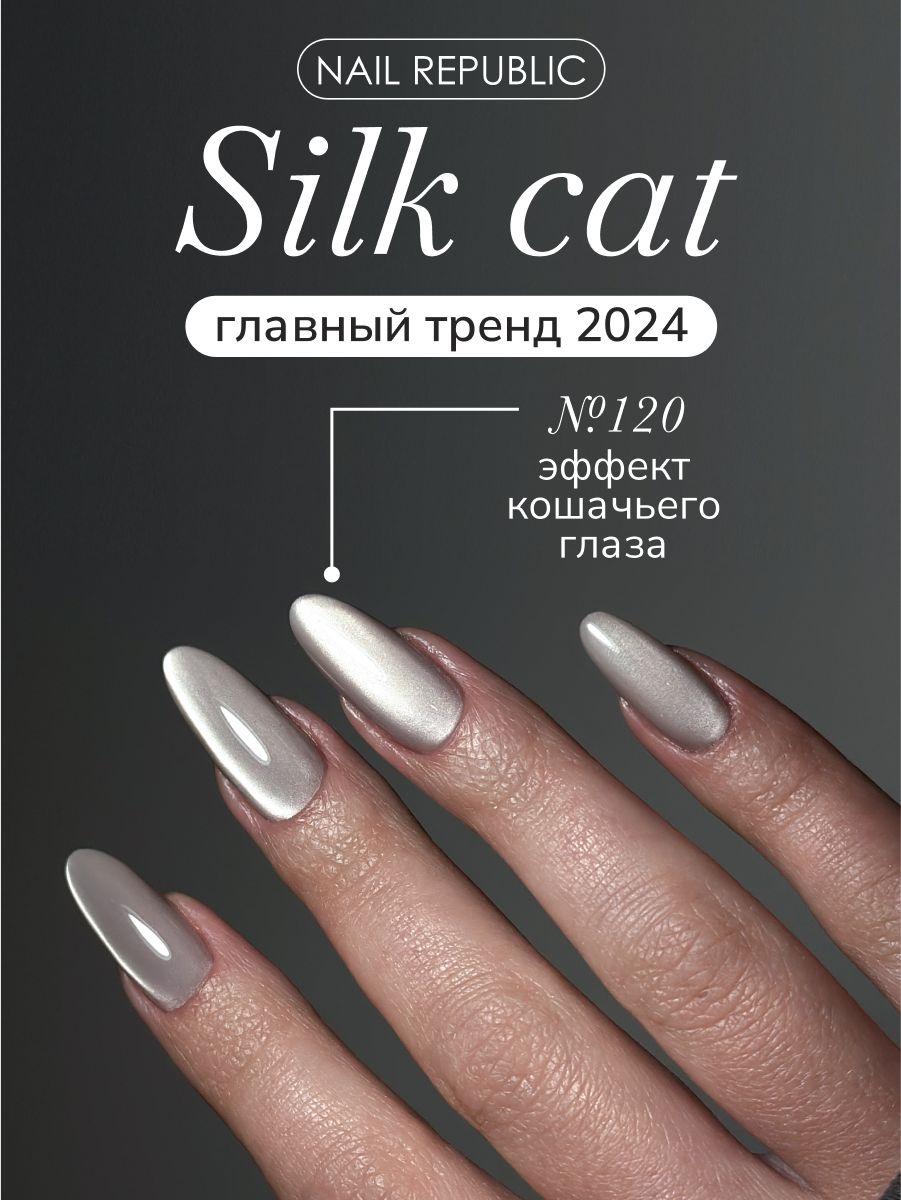 NR Гель-лак корейский кошачий глаз Silk Cat 2.0 120, 10 мл