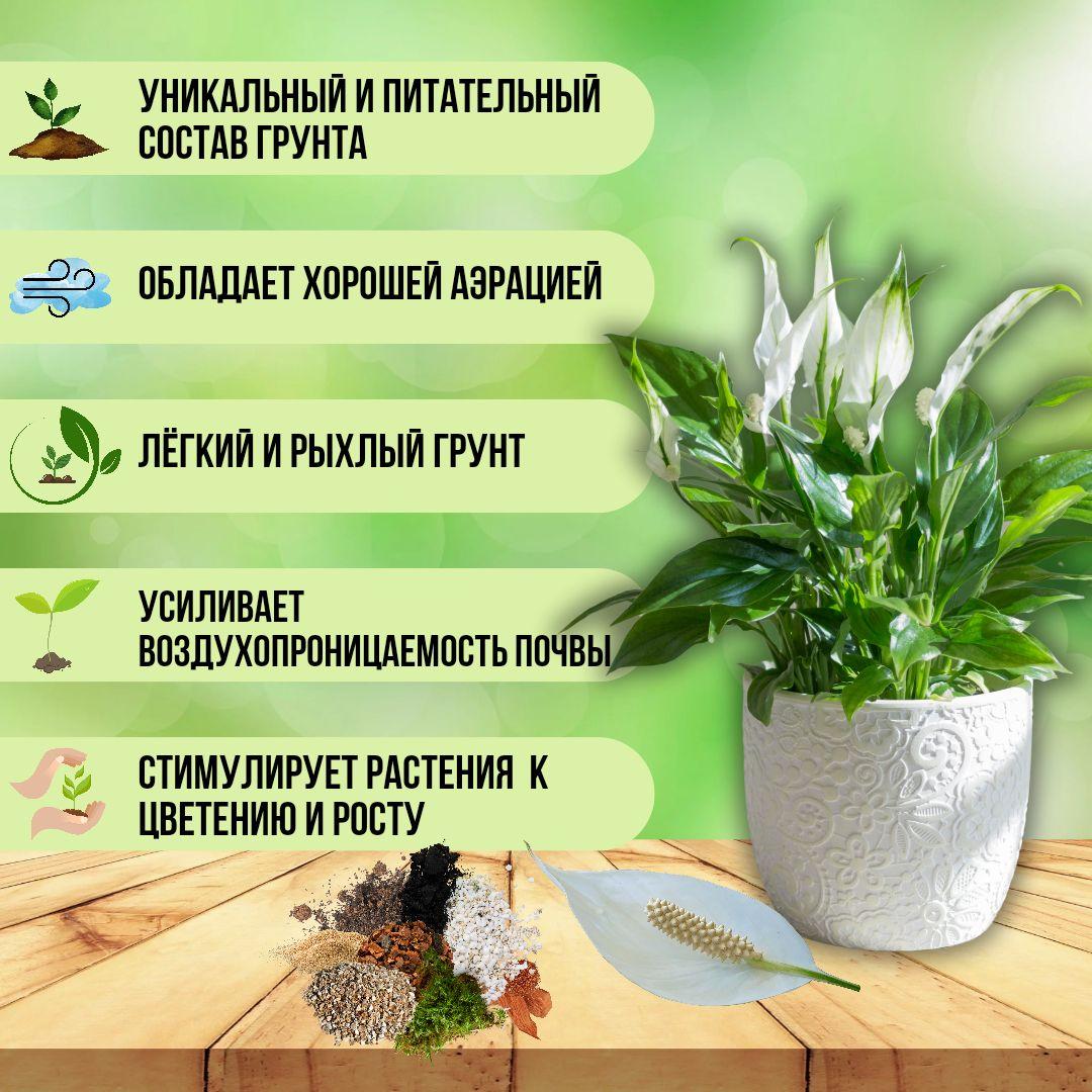 https://cdn1.ozone.ru/s3/multimedia-1-v/7147529671.jpg