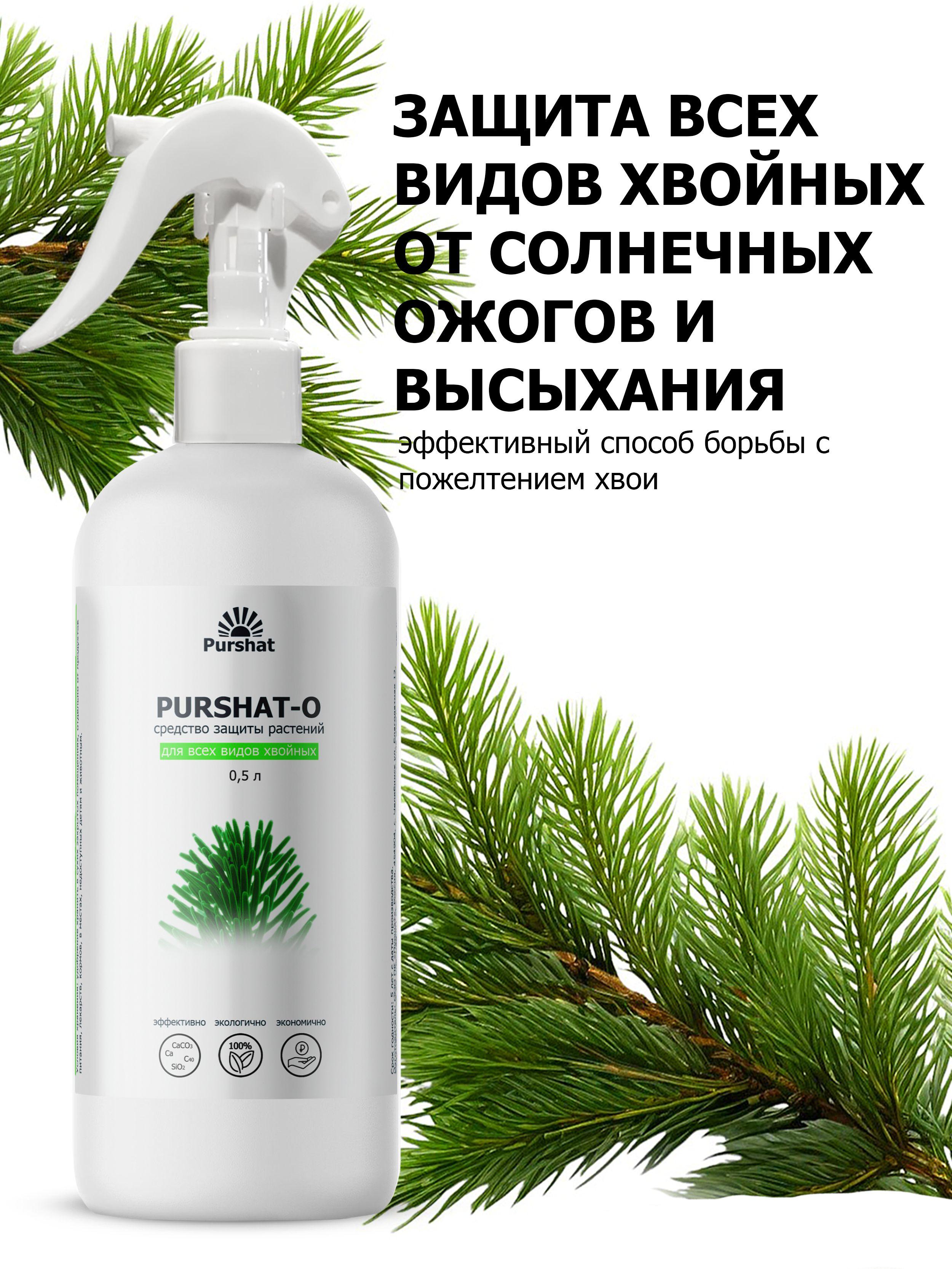 https://cdn1.ozone.ru/s3/multimedia-1-v/7155057703.jpg