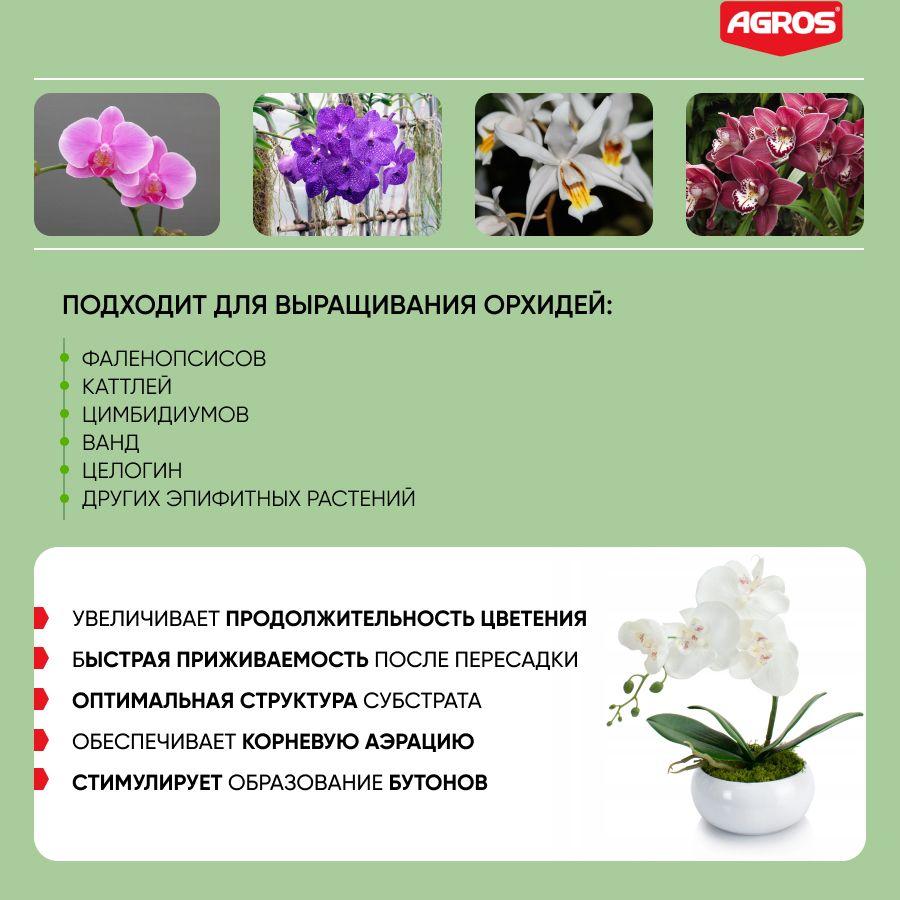 https://cdn1.ozone.ru/s3/multimedia-1-w/7005496532.jpg