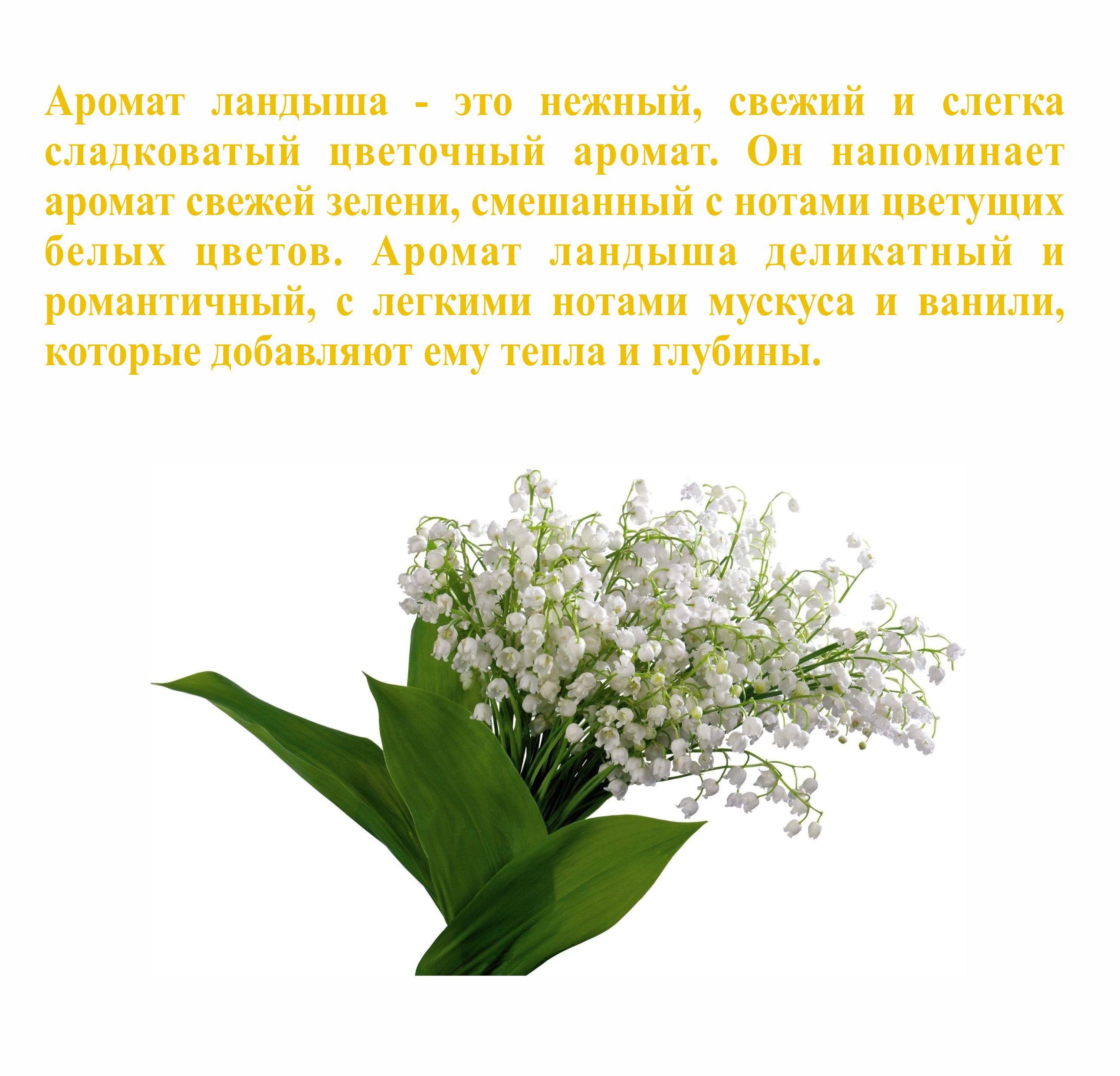 https://cdn1.ozone.ru/s3/multimedia-1-w/7007510732.jpg