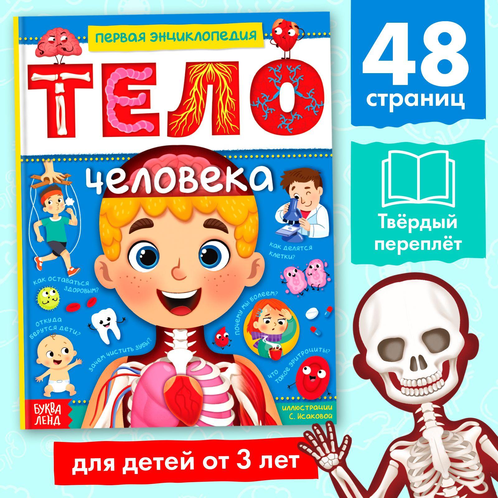 Энциклопедия "Тело человека" Буква-Ленд, 48 стр., твердый переплет, детская энциклопедия, книги для детей | Соколова Юлия Сергеевна