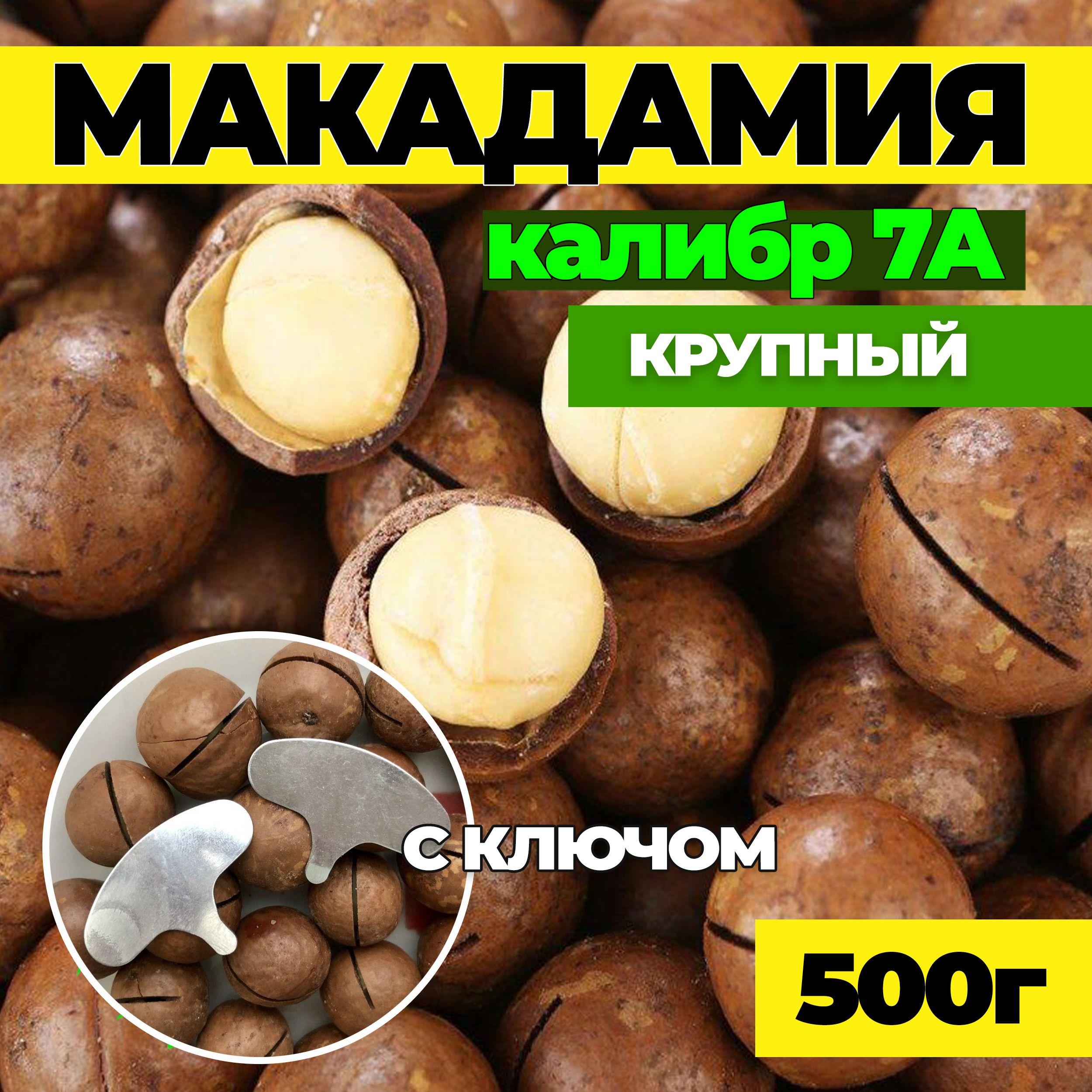 Макадамия, Макадамия орех, калибр 7А 500г в скорлупе с ключом