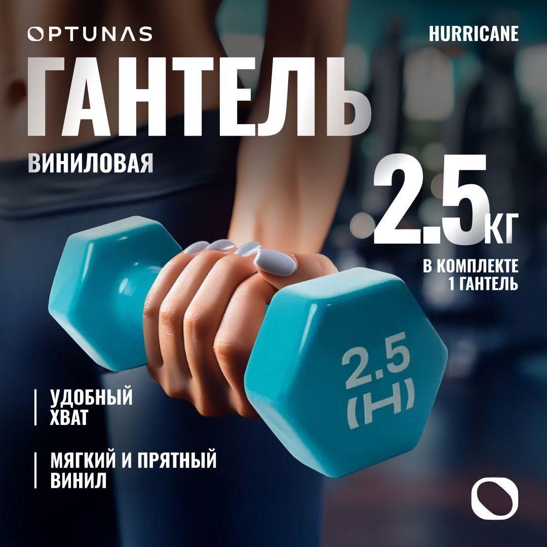 Hurricane Гантели вес 1 шт: 2.5 кг