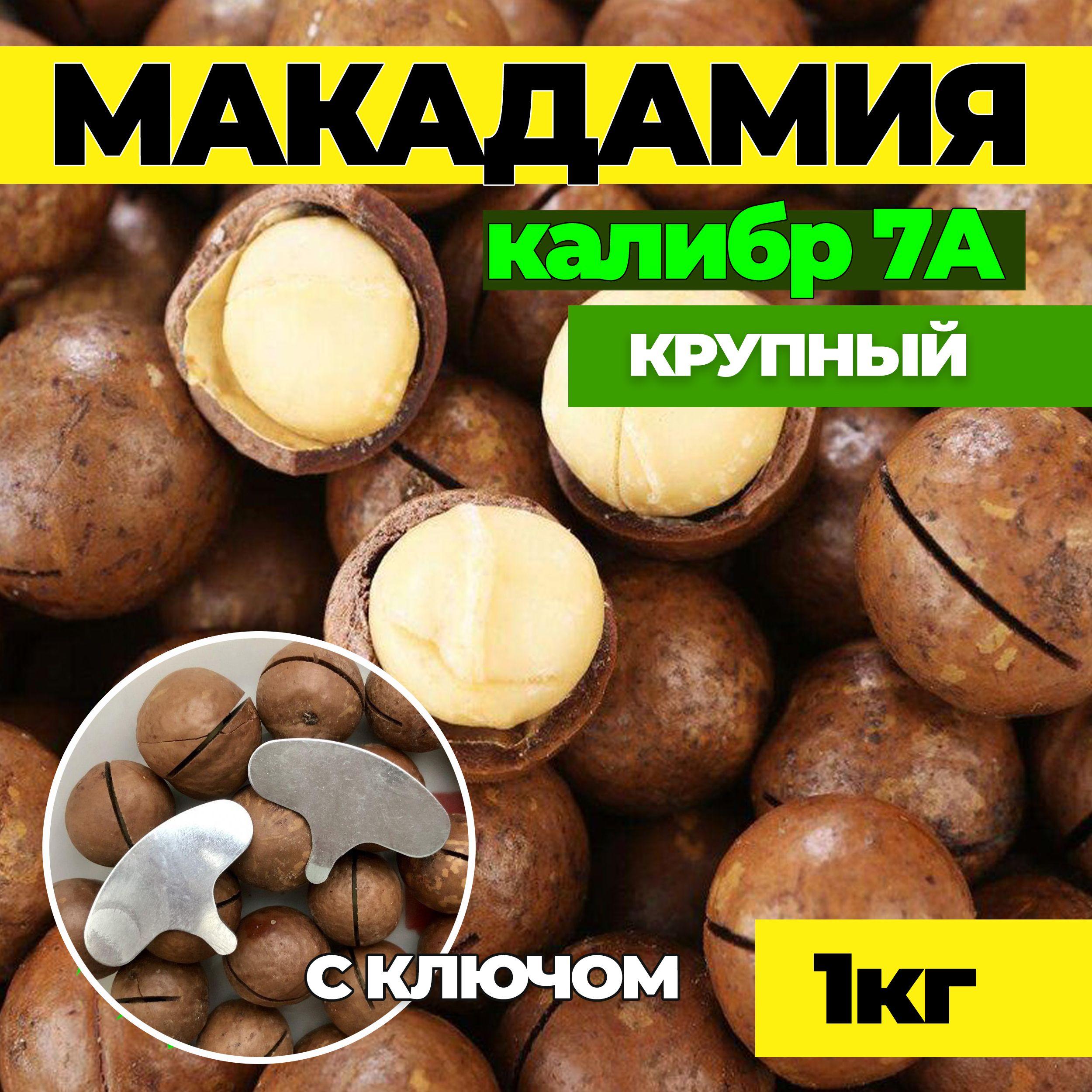 Макадамия, Макадамия орех, калибр 7А 1кг в скорлупе с ключом