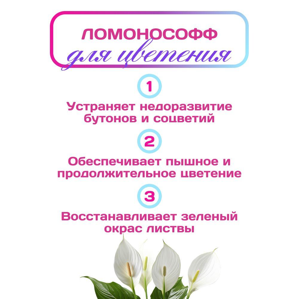 https://cdn1.ozone.ru/s3/multimedia-1-y/6928563166.jpg