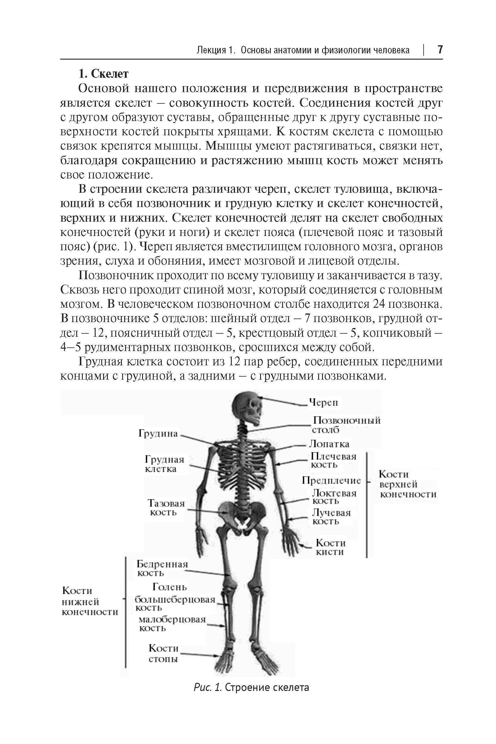 https://cdn1.ozone.ru/s3/multimedia-1-y/6987542470.jpg