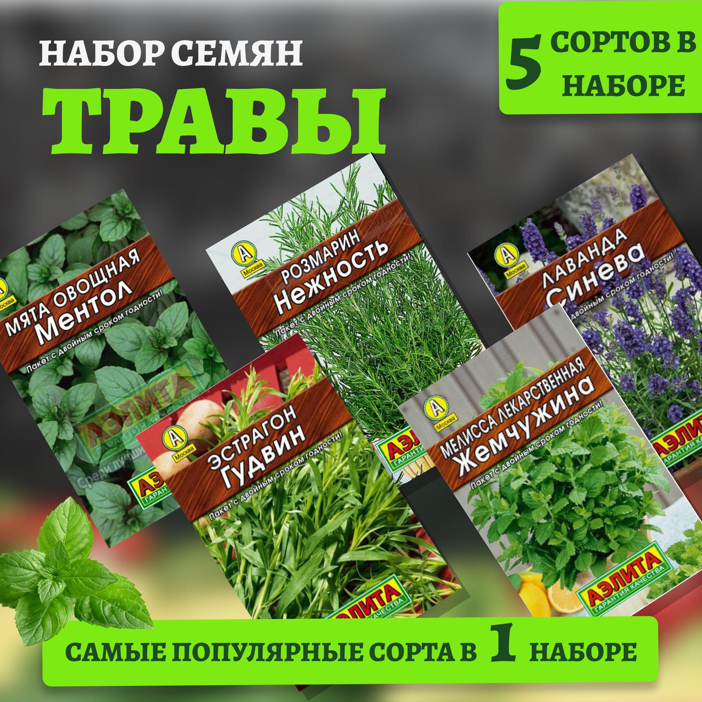 Мелисса, Мята, Лаванда, Розмарин, Тархун/ 5 видов пряных трав, Агрофирма Аэлита