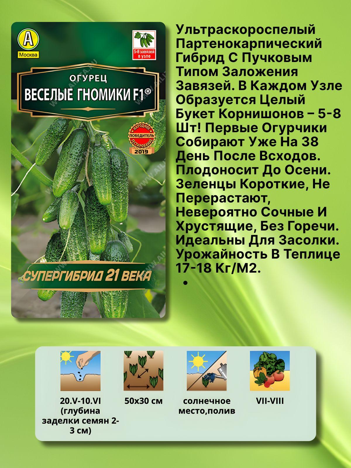 https://cdn1.ozone.ru/s3/multimedia-1-y/7035728398.jpg