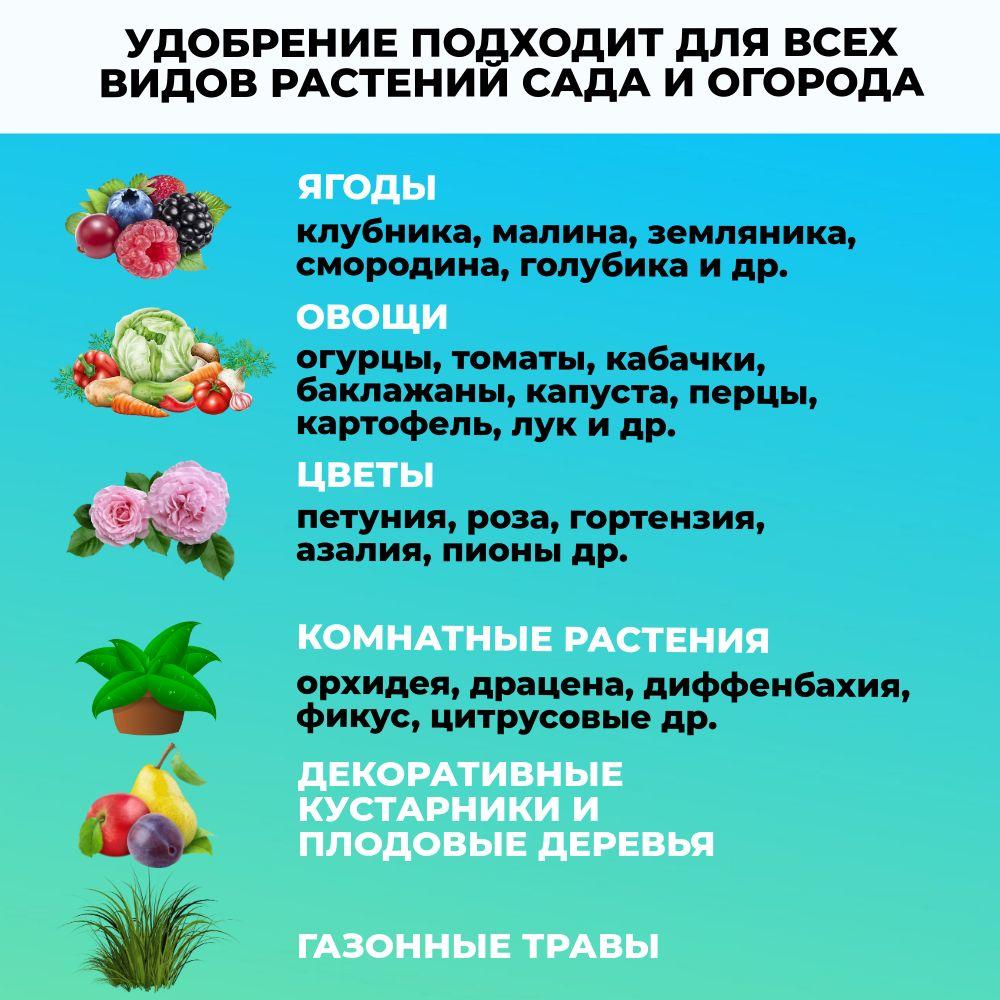 https://cdn1.ozone.ru/s3/multimedia-1-y/7126329454.jpg