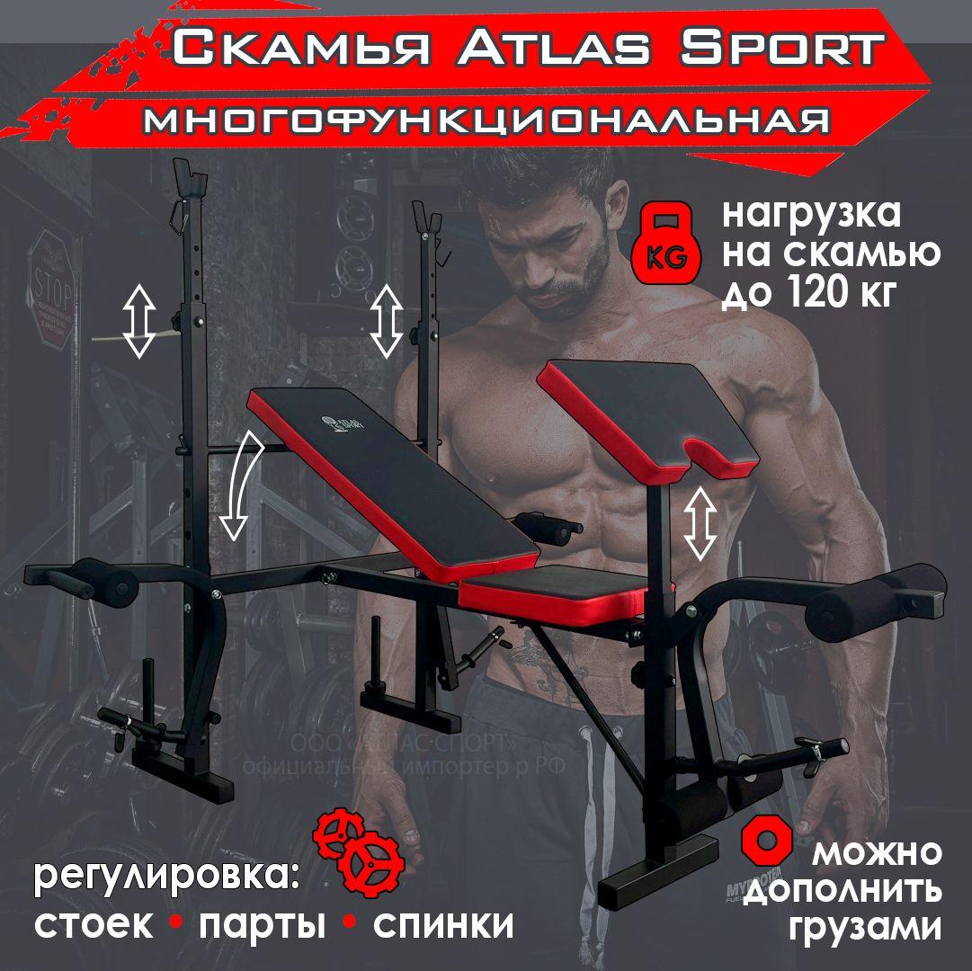 Силовая скамья для жима складная / скамья для пресса складная Atlas Sport 1070 с партой Скотта и регулируемыми стойками для штанги