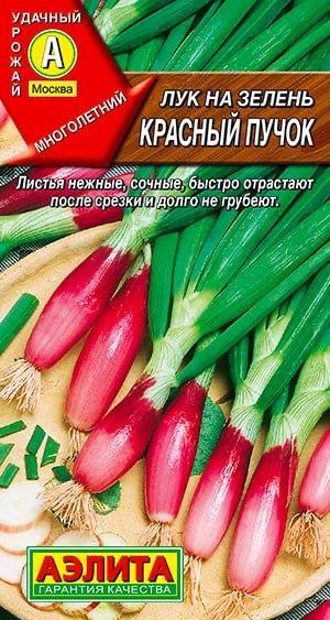 ЛУК НА ЗЕЛЕНЬ КРАСНЫЙ ПУЧОК. Семена. Вес 0,3 гр. Зимостойкий, раннеспелый, многолетний лук.