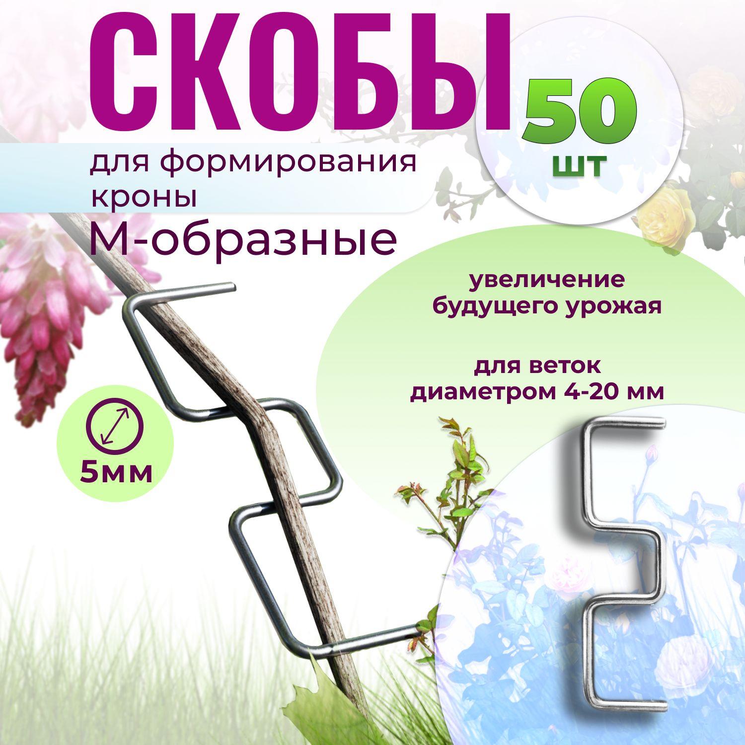 https://cdn1.ozone.ru/s3/multimedia-1-z/7018680743.jpg