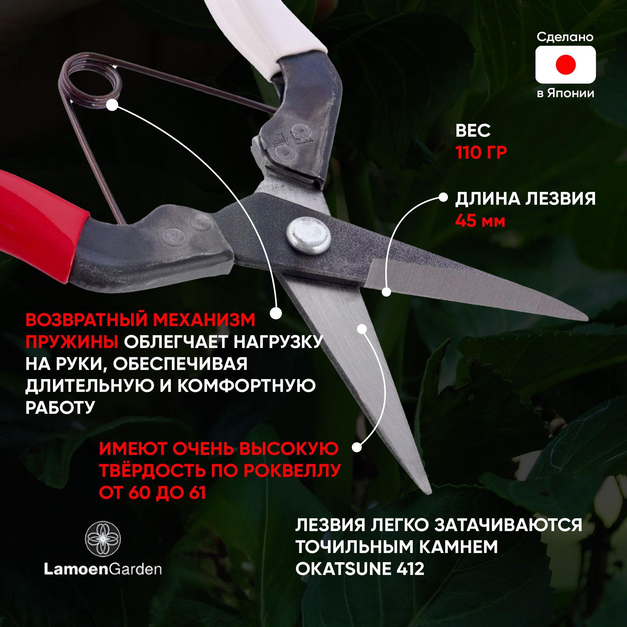 https://cdn1.ozone.ru/s3/multimedia-1-z/7108810739.jpg