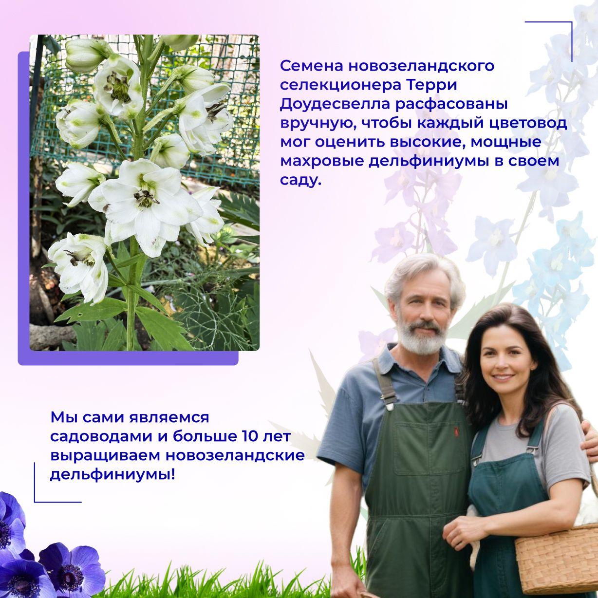 https://cdn1.ozone.ru/s3/multimedia-1-z/7127974979.jpg