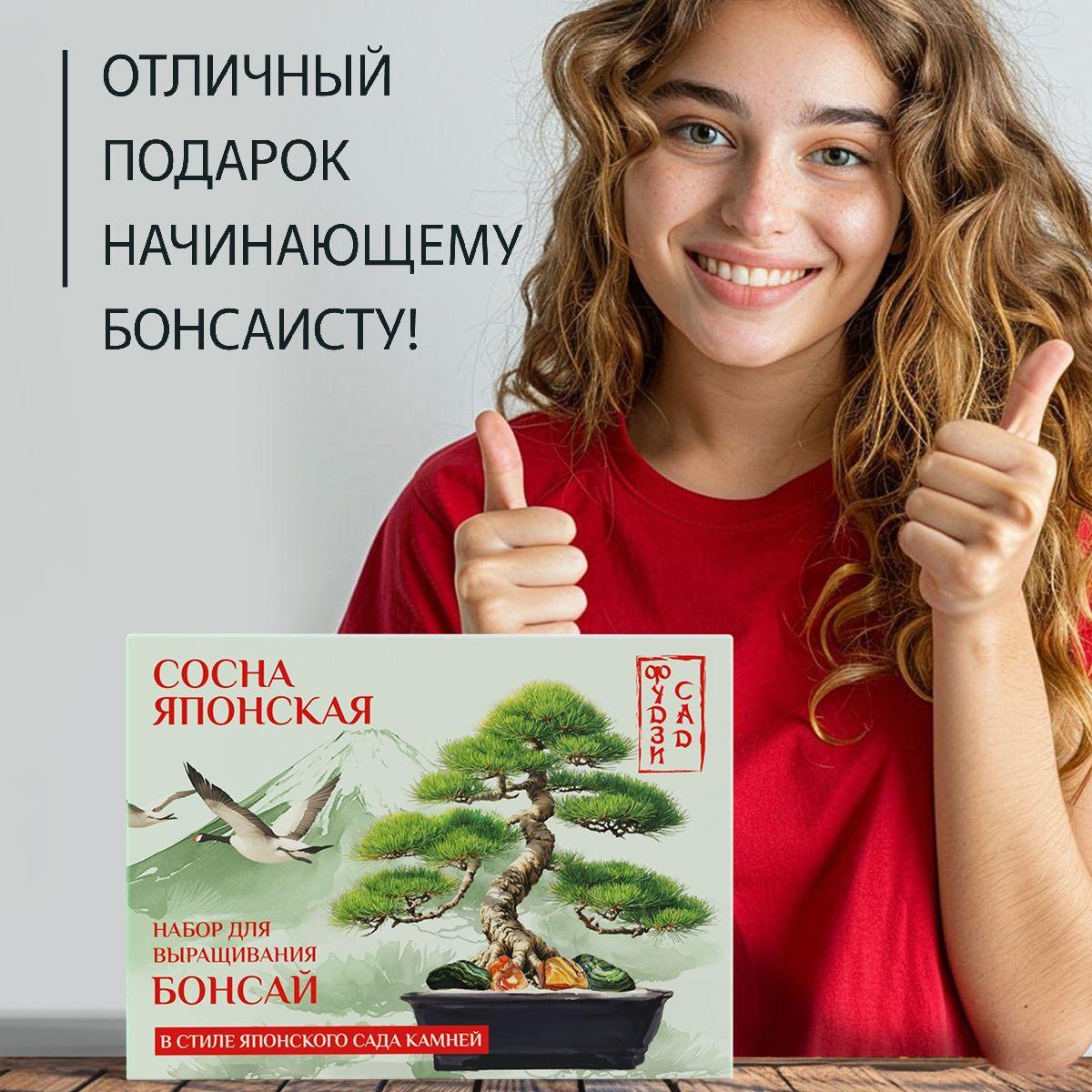 https://cdn1.ozone.ru/s3/multimedia-1-z/7167974579.jpg