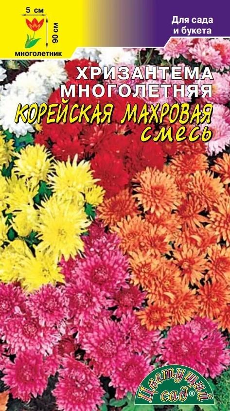 Хризантема Корейская смесь (семена Цветущий сад)