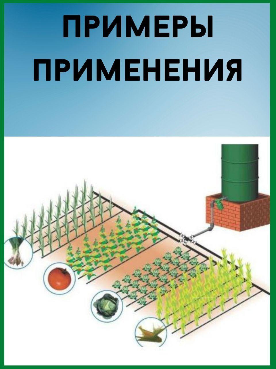 https://cdn1.ozone.ru/s3/multimedia-2/6648889898.jpg