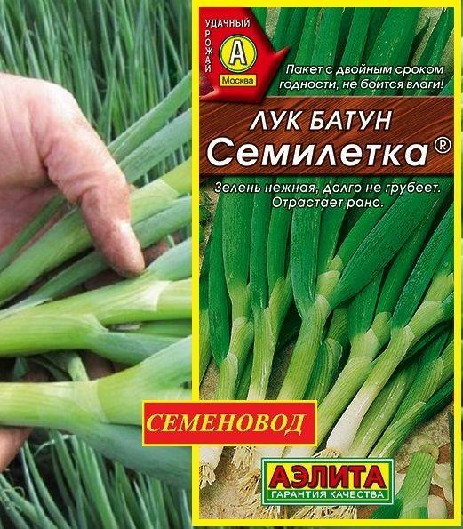 Лук батун СЕМИЛЕТКА - Зимостойкий многолетник (растет до 7 лет)! / Семена 0.5 гр. - Агрофирма АЭЛИТА