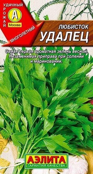 ЛЮБИСТОК Удалец. Семена. Вес 0,3 гр. Многолетнее, пряно-ароматическое и лекарственное растение. На одном месте возделывается 8-10 лет.