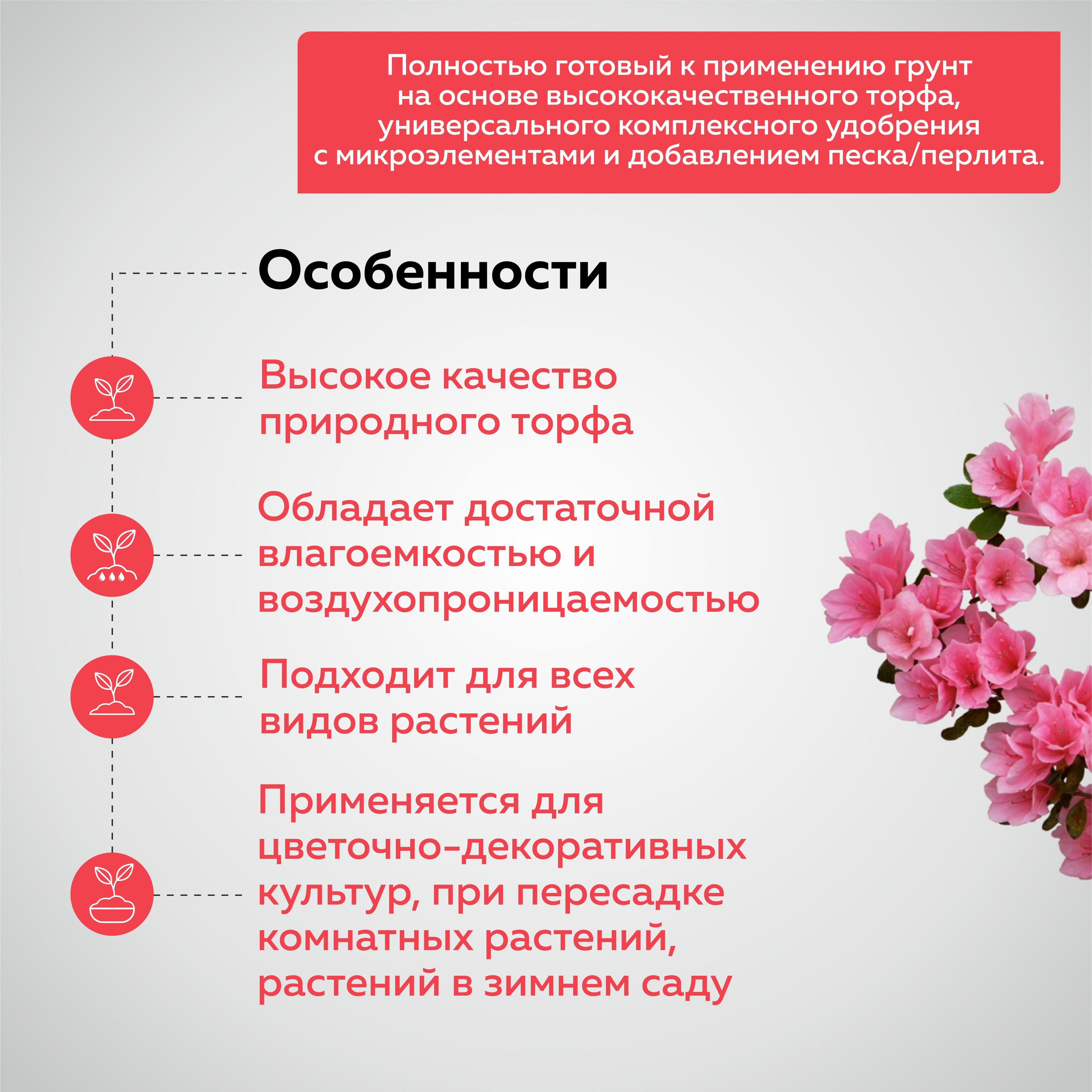 https://cdn1.ozone.ru/s3/multimedia-2/6892485086.jpg