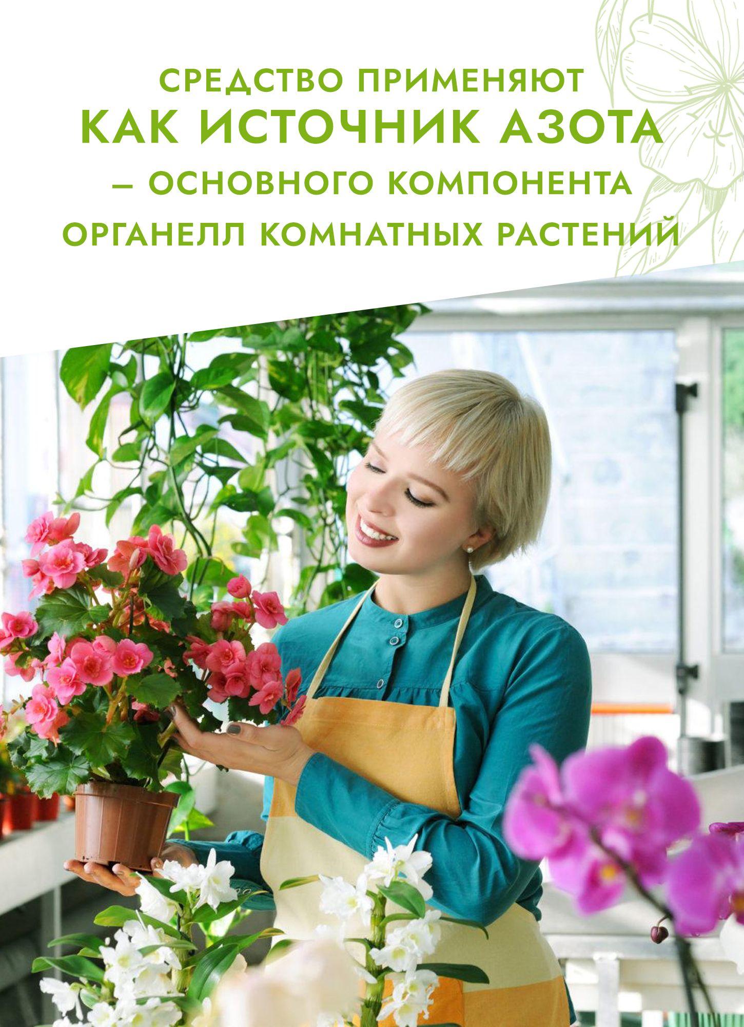 https://cdn1.ozone.ru/s3/multimedia-3/6402135663.jpg