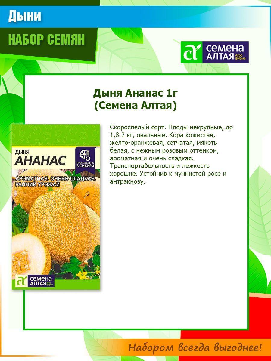 https://cdn1.ozone.ru/s3/multimedia-3/6775719771.jpg