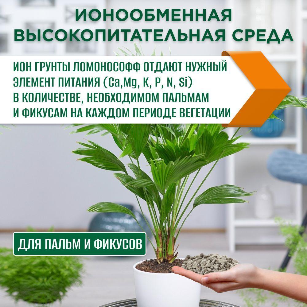 https://cdn1.ozone.ru/s3/multimedia-3/6806488215.jpg