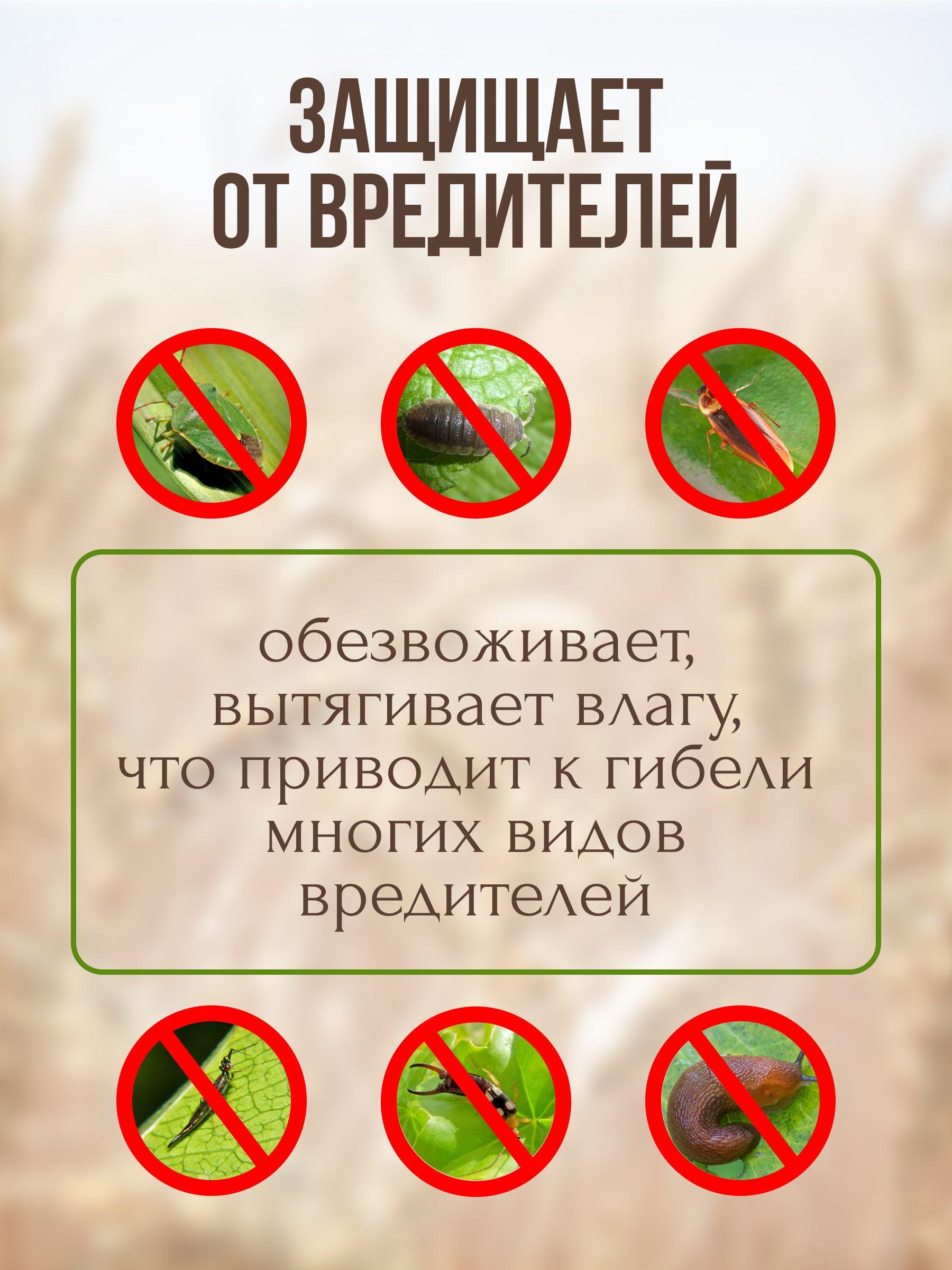 https://cdn1.ozone.ru/s3/multimedia-4/6538796308.jpg