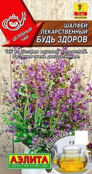 ШАЛФЕЙ ЛЕКАРСТВЕННЫЙ БУДЬ ЗДОРОВ. Семена. Вес 0,2 гр. Пряно - ароматическое и лекарственное растение.