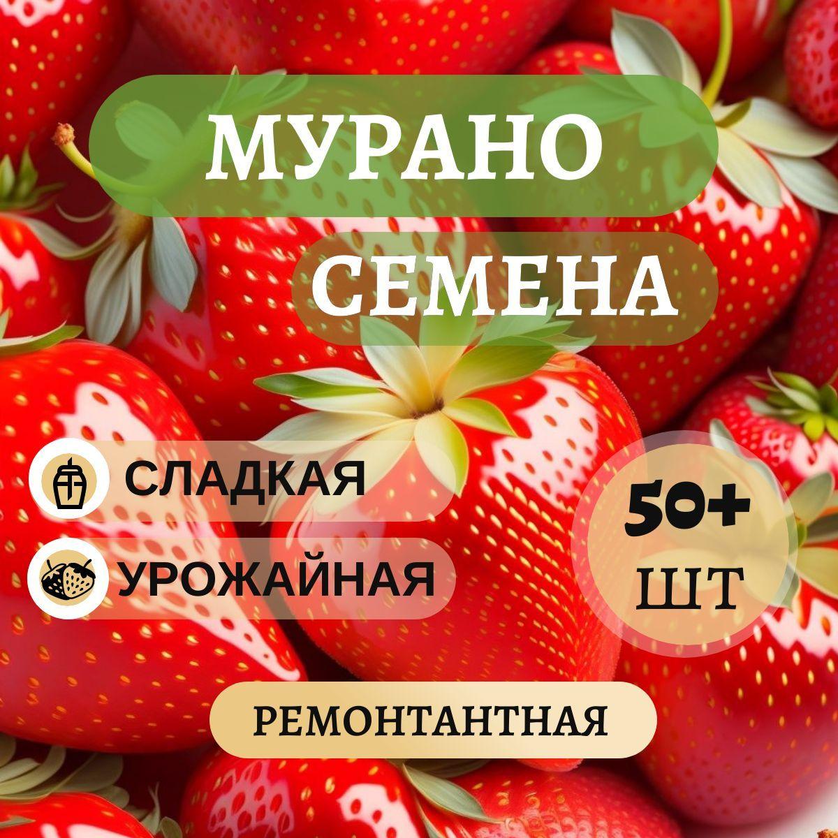 Семена ремонтантной клубники Мурано, 50шт