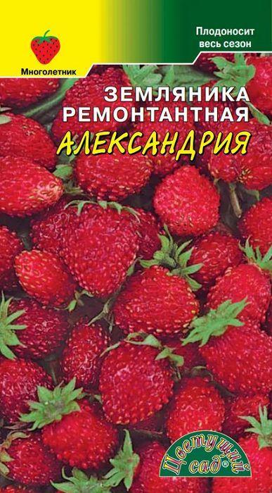 https://cdn1.ozone.ru/s3/multimedia-5/6621789281.jpg