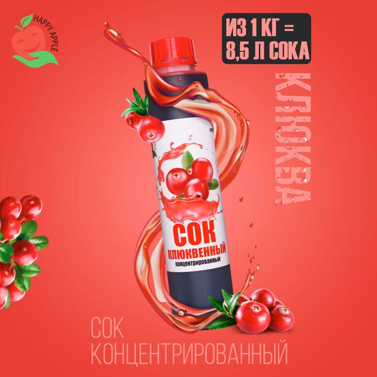 Концентрат сока Клюквенный 1 кг Happy Apple, кисл. 9%