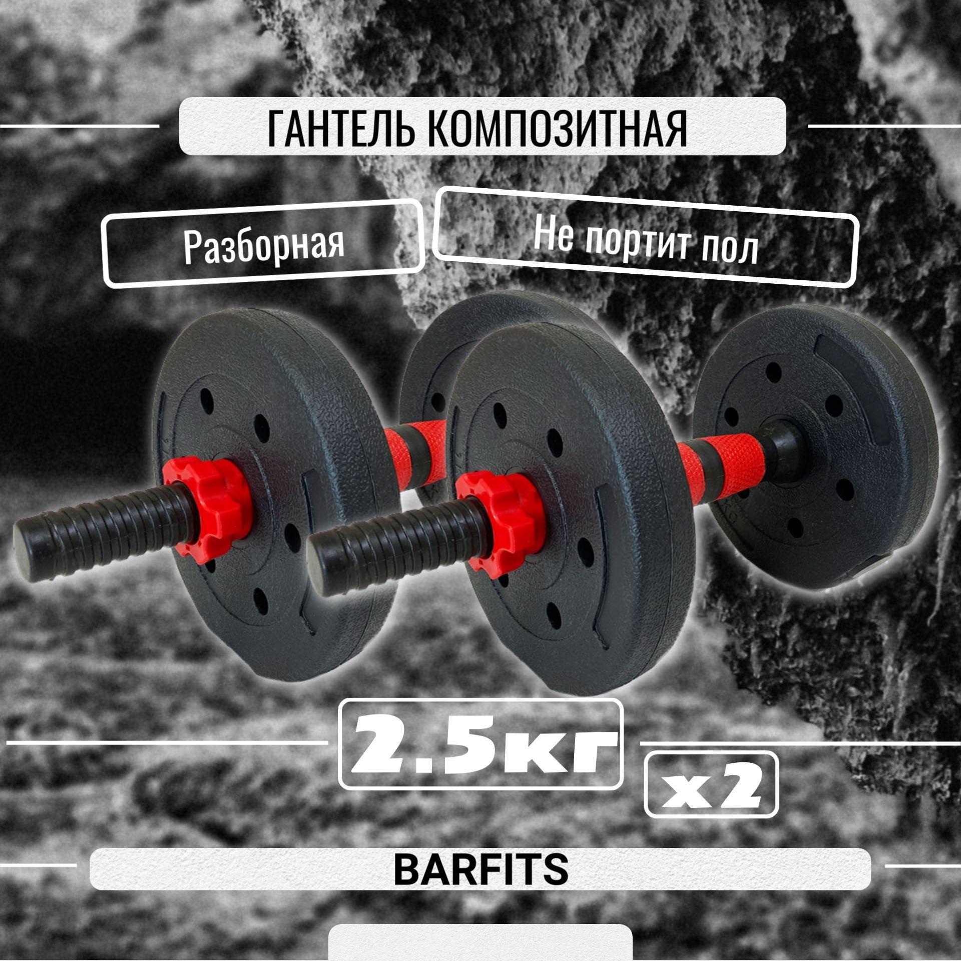 Barfits Гантели, 2 шт. вес 1 шт: 2.5 кг