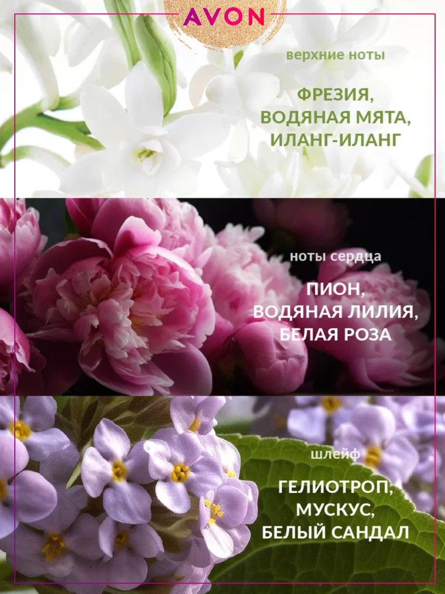 https://cdn1.ozone.ru/s3/multimedia-5/6868648625.jpg