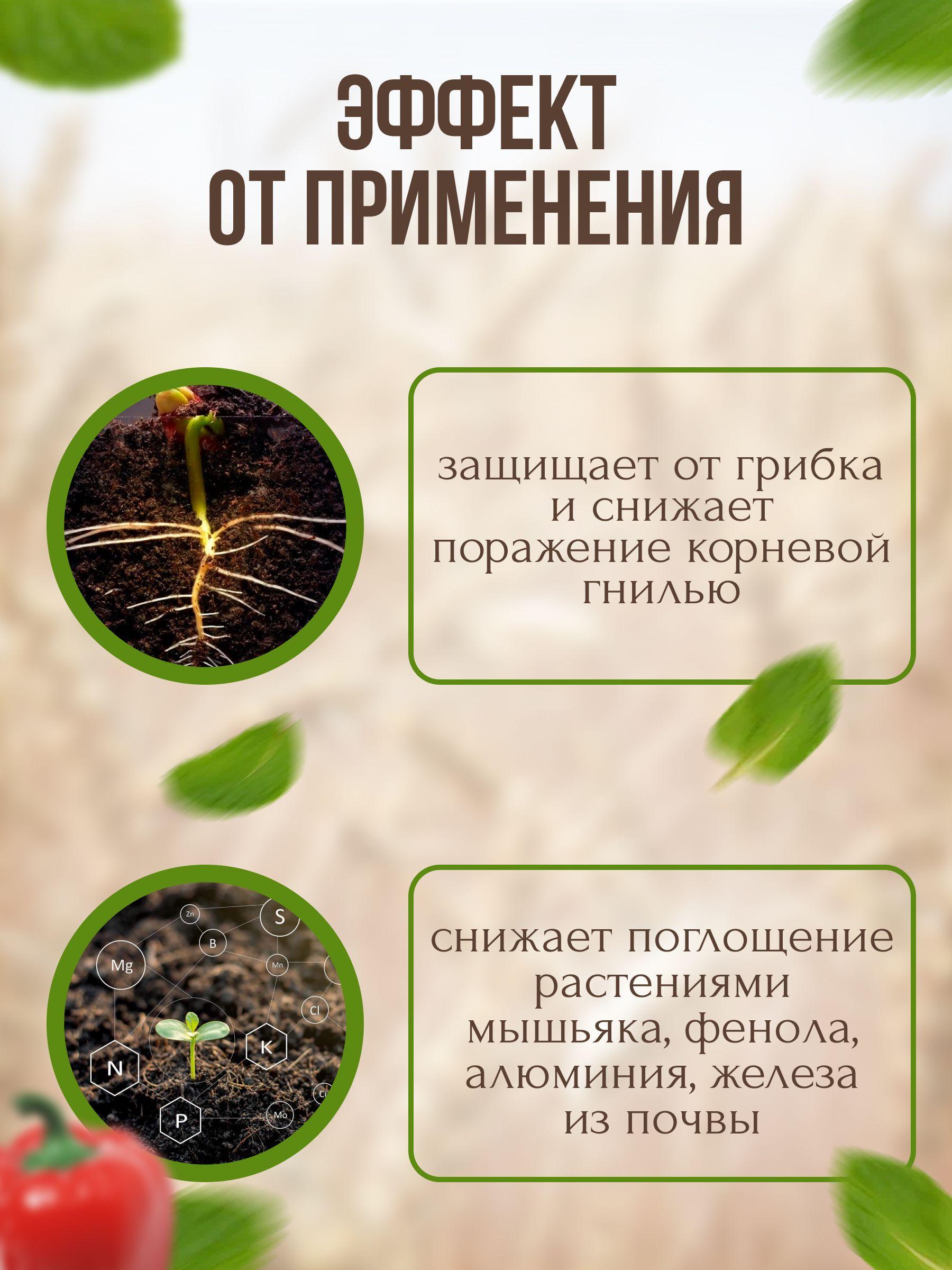 https://cdn1.ozone.ru/s3/multimedia-6/6538796310.jpg