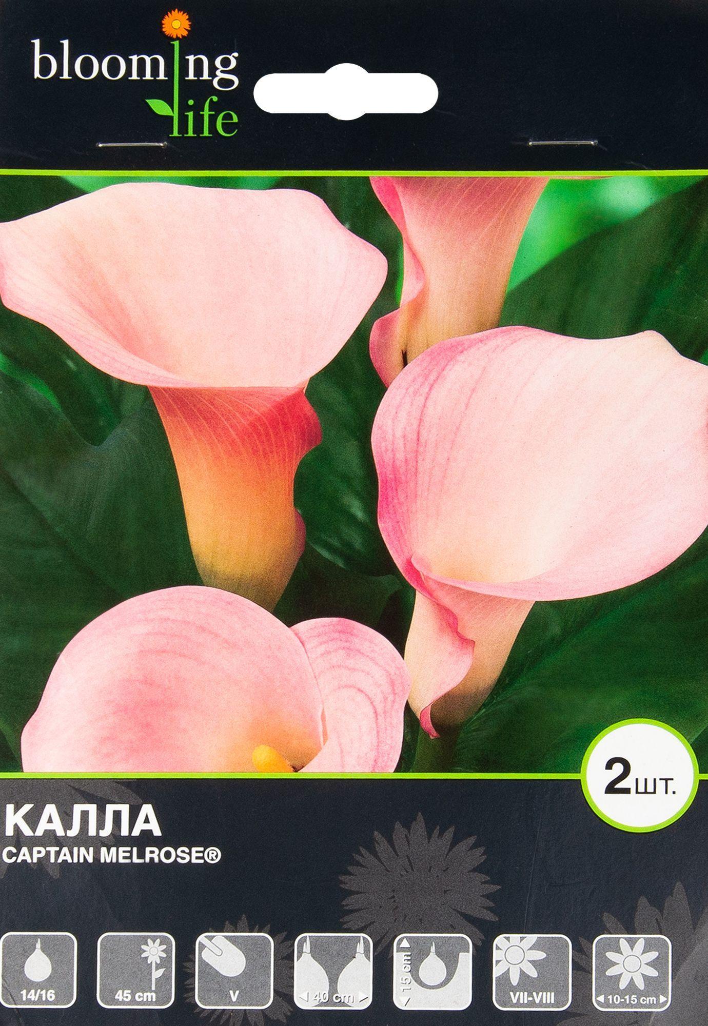 https://cdn1.ozone.ru/s3/multimedia-6/6589783986.jpg