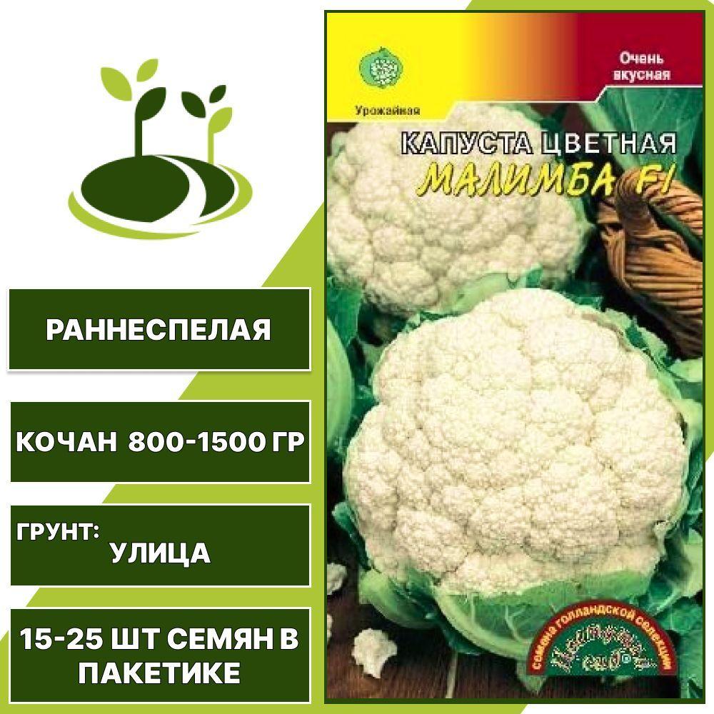 https://cdn1.ozone.ru/s3/multimedia-6/6668769534.jpg