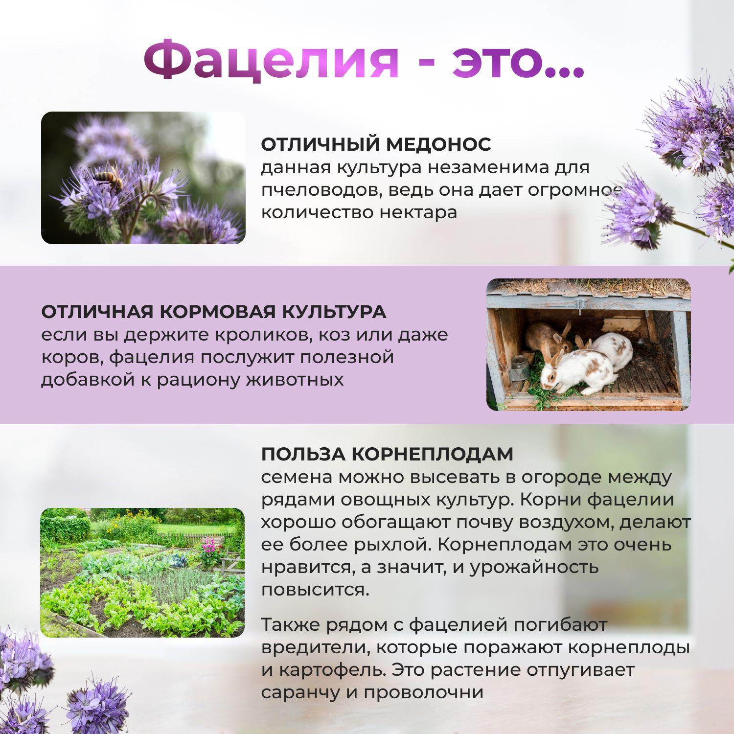 https://cdn1.ozone.ru/s3/multimedia-6/6897136326.jpg