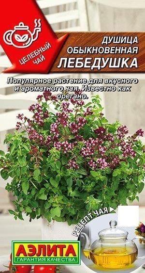 ДУШИЦА ОБЫКНОВЕННАЯ ЛЕБЕДУШКА. Семена. Вес 0,05 гр. Многолетнее пряное растение, известное еще как Орегано .