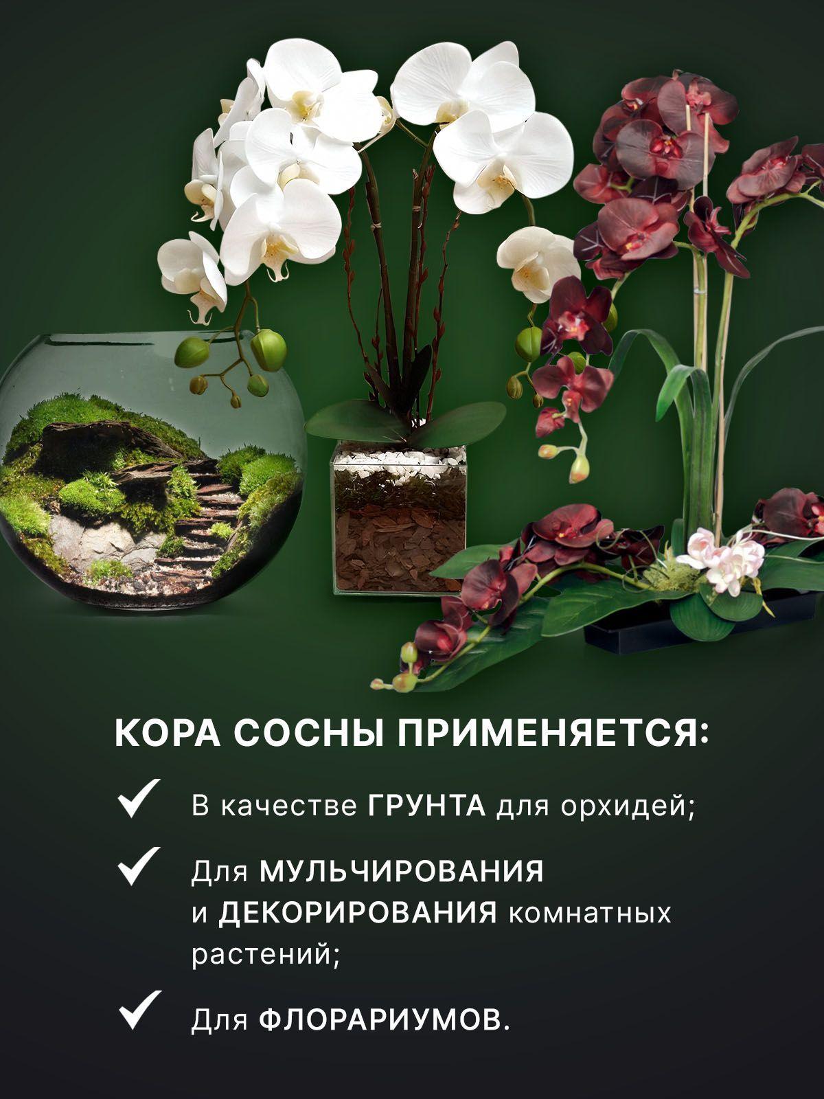 https://cdn1.ozone.ru/s3/multimedia-7/6660109663.jpg